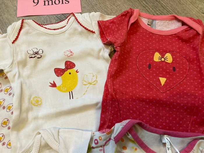 Lot 5 body 9 mois - photo numéro 3