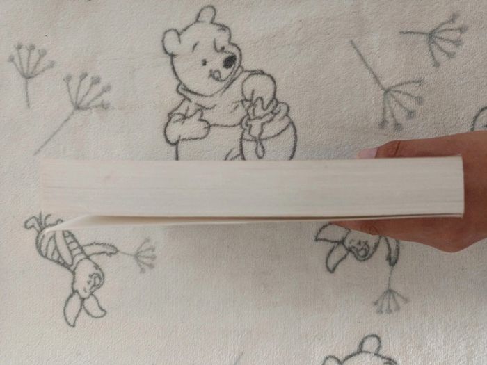 Livre Hantée - photo numéro 3