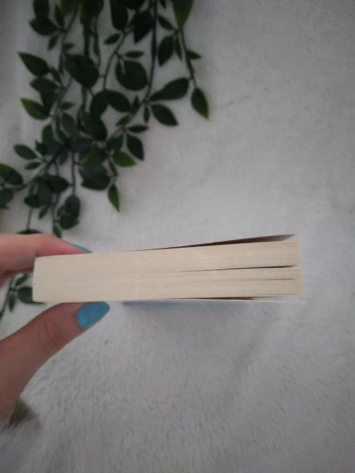 🌸Livre une scandaleuse attirance Harlequin + 1 offert 🌸 - photo numéro 5