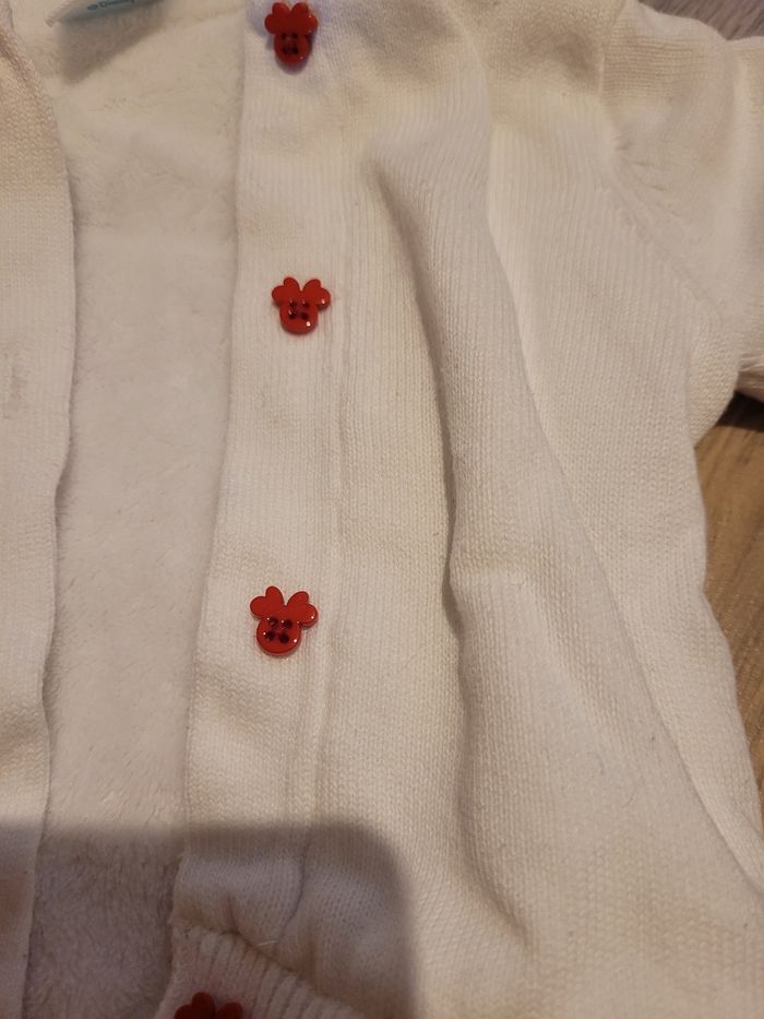 Gilets minnie - photo numéro 4