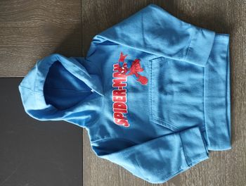 Pull Spiderman
