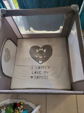 Parc sophie la girafe