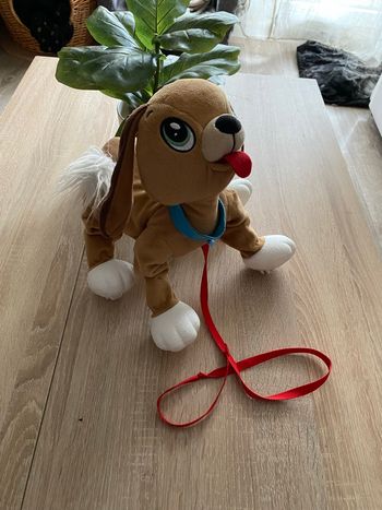 Chien à tirer Toufou