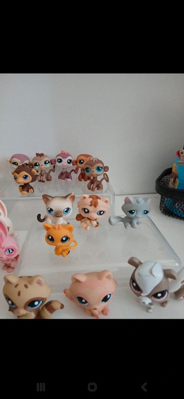 Littlest petshop - photo numéro 4