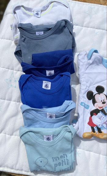 Lot de 15 bodies manches longues 24 mois 