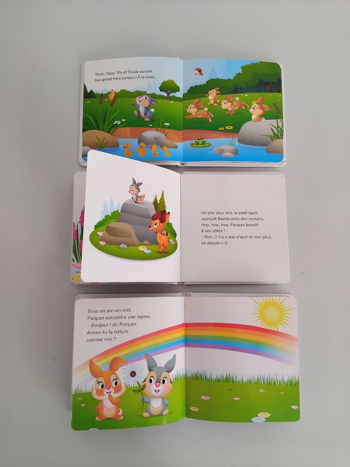 Mes Premières Histoires DISNEY Lot 5 Livres Panpan Woody Tic et Tac 📚 - photo numéro 3