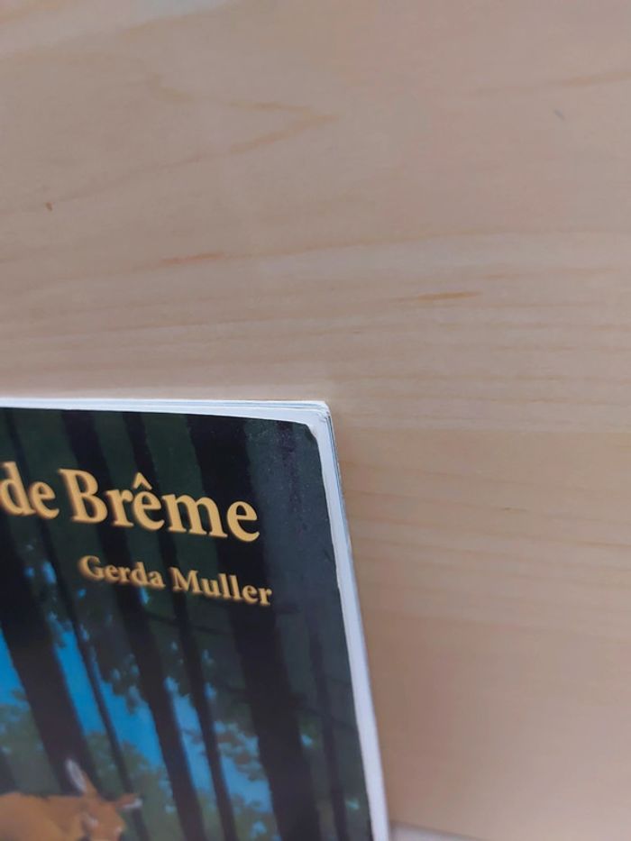 🌺 Livre (école des loisirs) : Les quatre musiciens de Brême - photo numéro 6