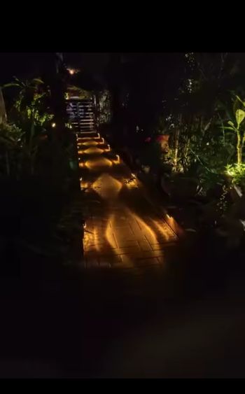 Lot de 4 appliques solaires décoratives