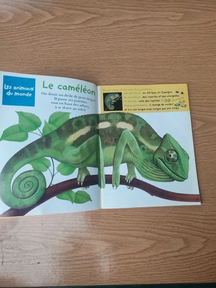 Livre youpi Karim l'enfant du désert - photo numéro 6