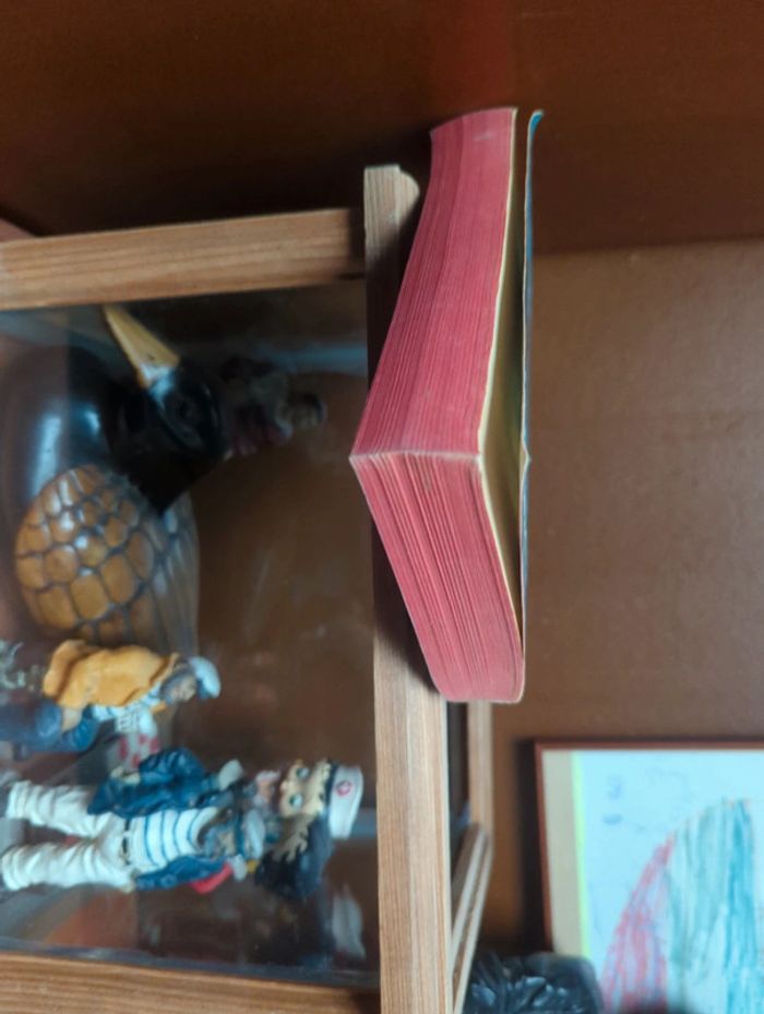 La forteresse noire - photo numéro 4