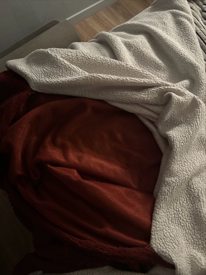 Plaid - photo numéro 4