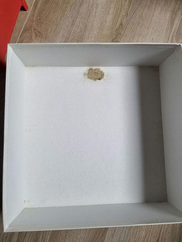 Jeu piqu'puces - photo numéro 7