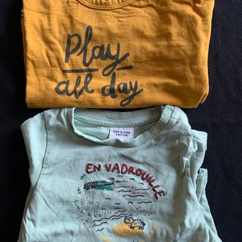 Lot 2 t-shirt manches longues 9 mois En vadrouille