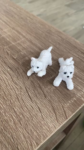 Lots de deux petits chiens blancs