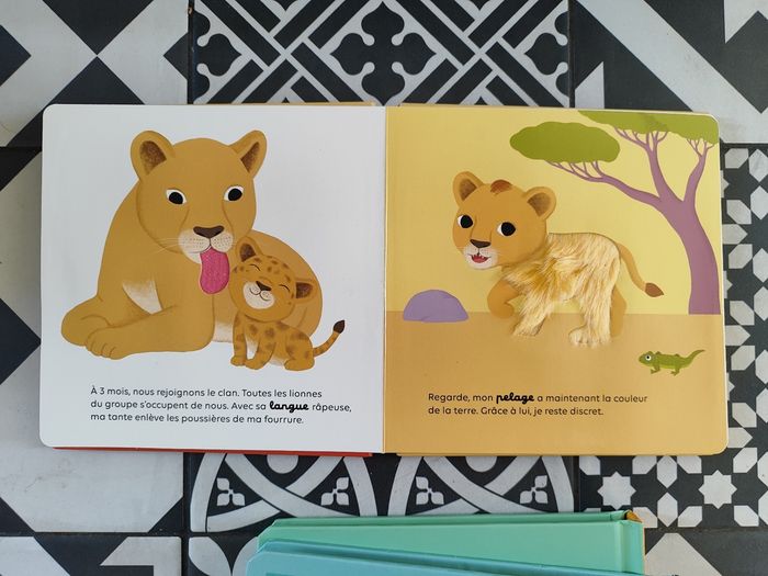 Lot de 3 beaux livres à toucher - photo numéro 3