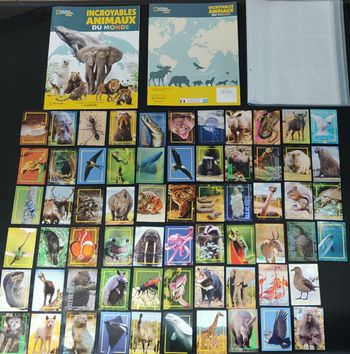 Lot classeur / album incroyables animaux + 64 cartes