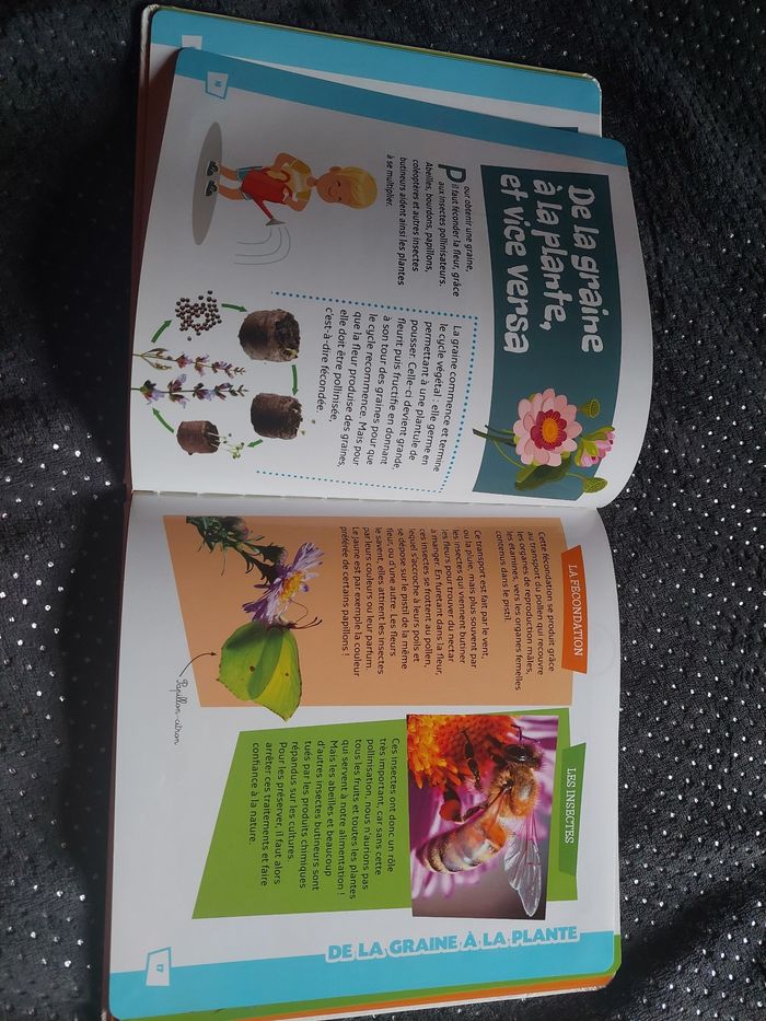 Sais tu comment ça pousse ? - photo numéro 4