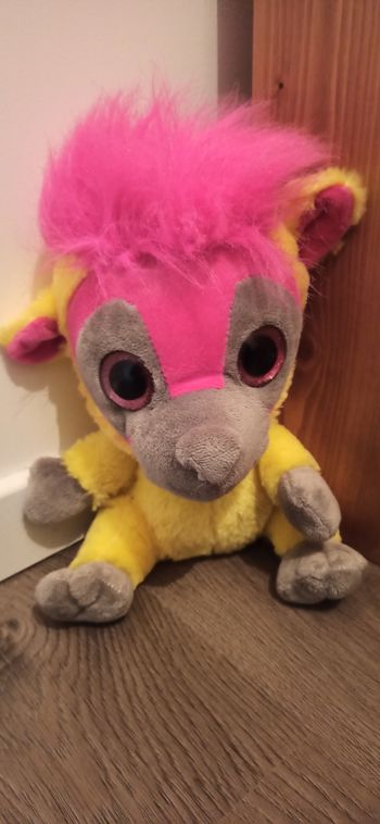 Lémurien multicolore