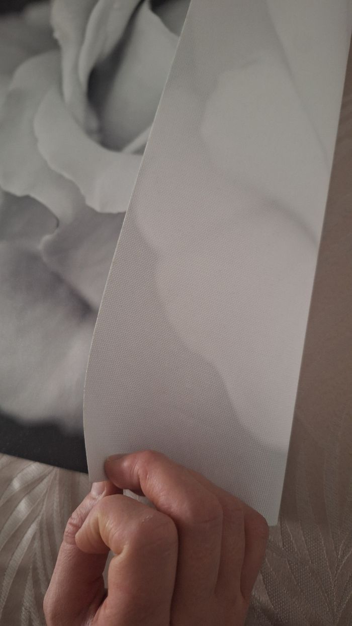 Lot de 2 toiles/ affiches imprimé fleurs noir et blanc - photo numéro 5