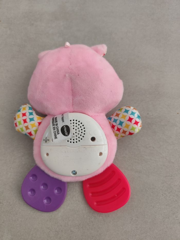 Croc hippo - photo numéro 2