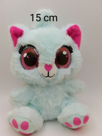 Chat turquoise