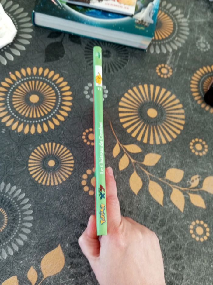 Pokémon : le château de Combat - photo numéro 2