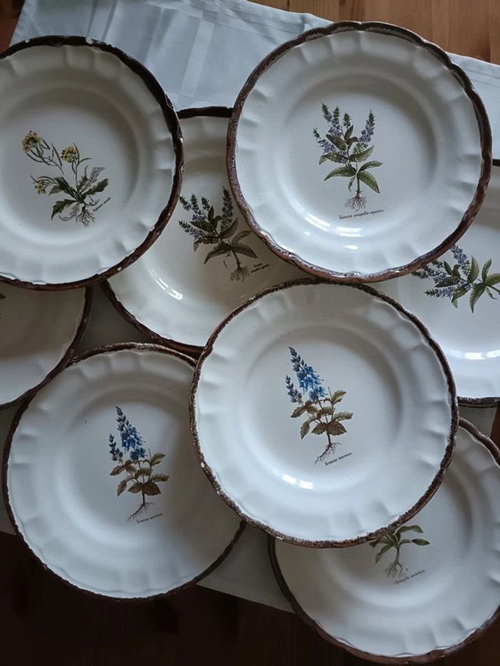 Lot de 8 assiettes vinteges herbes aromatiques - photo numéro 2