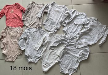 Bodies taille 18 mois