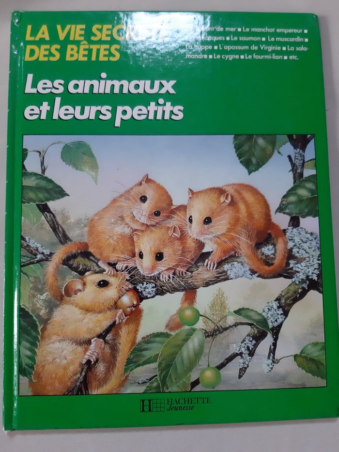 3 livres sur les animaux 7 / 8 ans - La vie secrète des bêtes - photo numéro 8