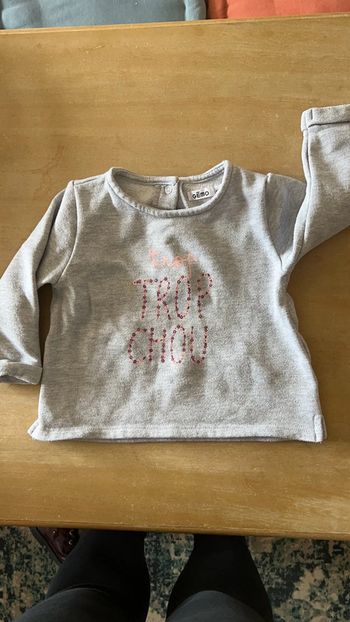 Pull Trop Chou Gemo 18 mois