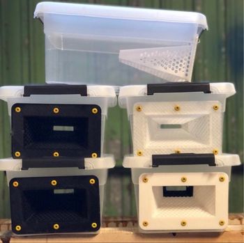 Pièges frelons asiatiques 