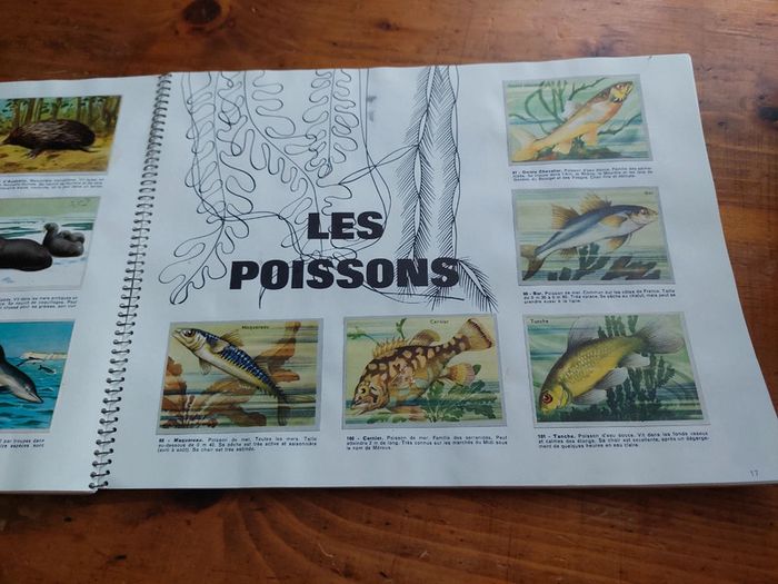 Album chromos l'univers en couleurs Biscottes Saint Luc - photo numéro 8