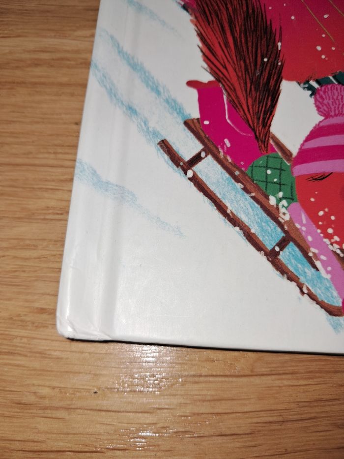 Album La course de luge - photo numéro 4