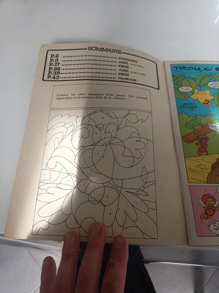 Le journal de maya - photo numéro 2