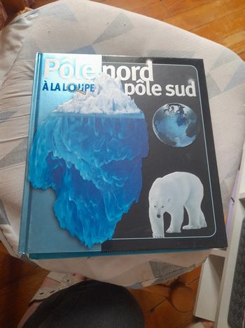 Pôle nord Pôle sud à la loupe