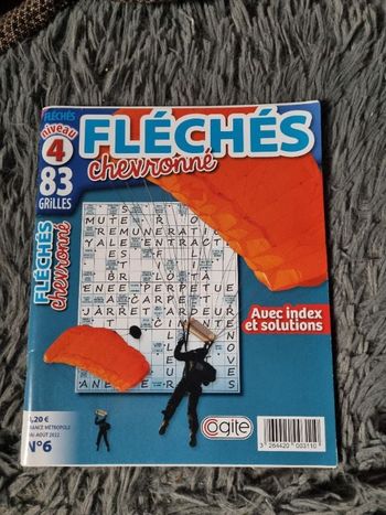 Livre de jeu fléchés (chevronné) niveau 4 (83grilles)