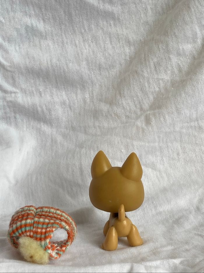 lps berger allemand - photo numéro 6