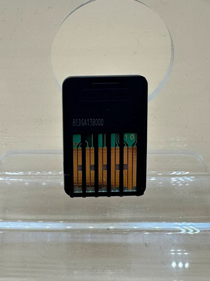 Skautfold : Bloody Pack (Shrouded In Sanity + Usurper) Switch - photo numéro 2