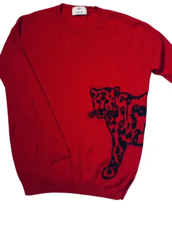 Pull en laine et cachemire Allude