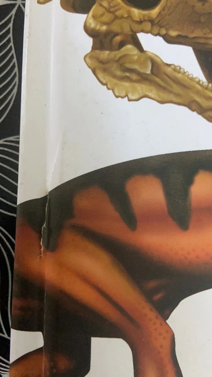 Livre Découvre les dinosaures - photo numéro 8