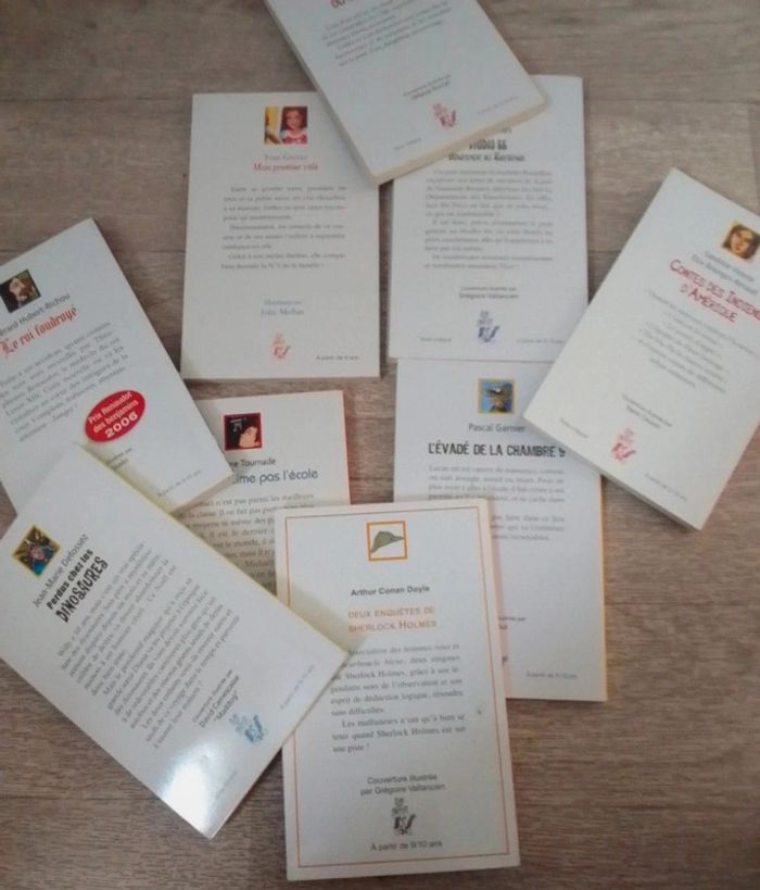 Lot 8 livres 9/10 ans - photo numéro 9