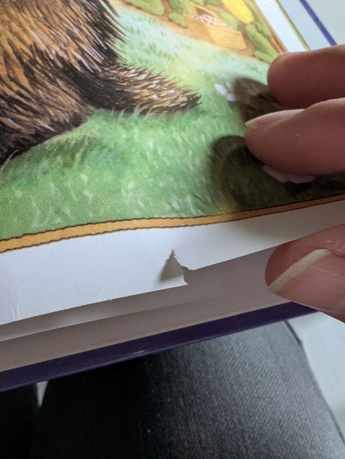 Franklin veut un animal - photo numéro 6