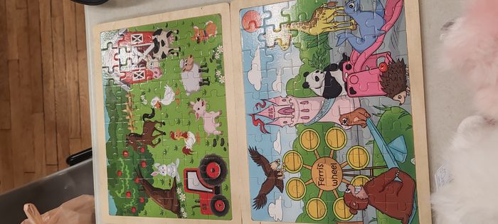 Lot de 4 puzzles