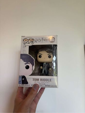 Pop Tom jedusor (Harry Potter)