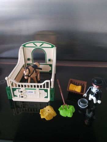 Cavalière Playmobil