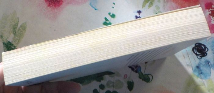 LE PETIT FOUGAUD de Albert DUCLOZ Ed. de Noyelles - photo numéro 5