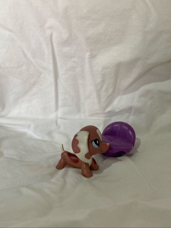 lps teckel rare - photo numéro 3