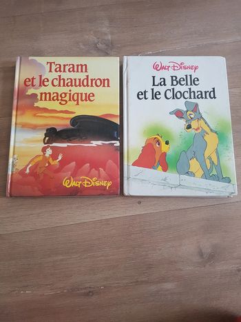 Livres Disney