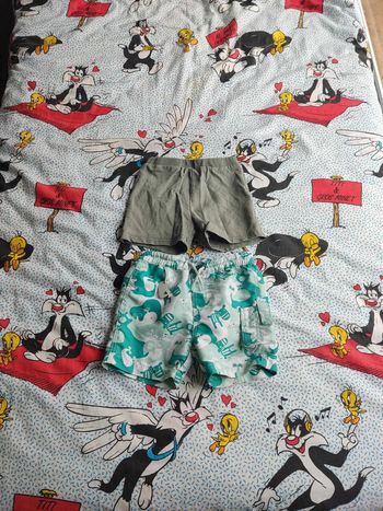 Lot de 2 shorts
