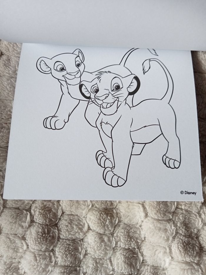Petit Livre de coloriage le Roi lion - photo numéro 2